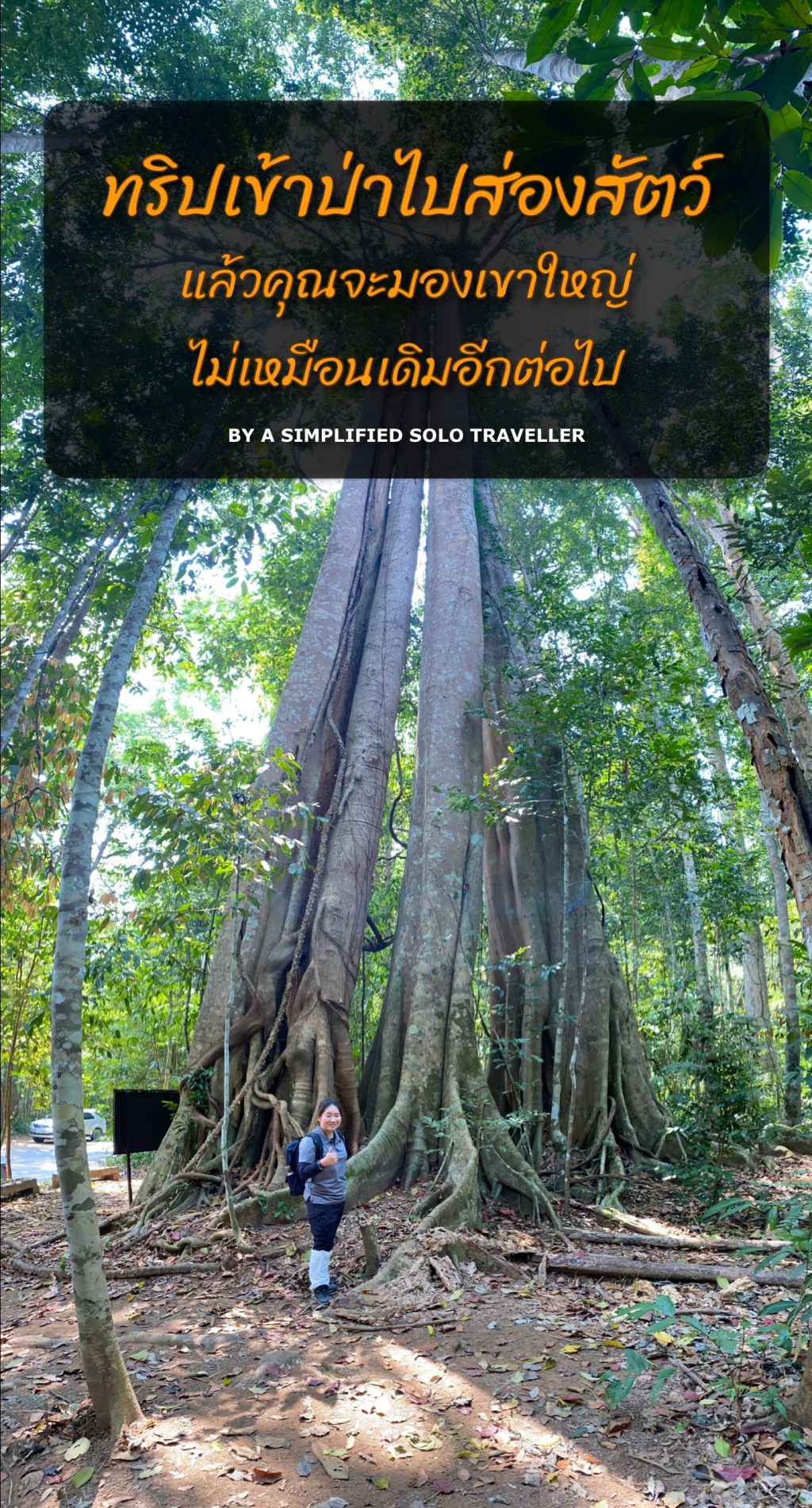 🦅🦜🐒🦌🦫 ทริปเข้าป่าไปส่องสัตว์… แล้วคุณจะมองเขาใหญ่ไม่เหมือนเดิมอีกต่อไป