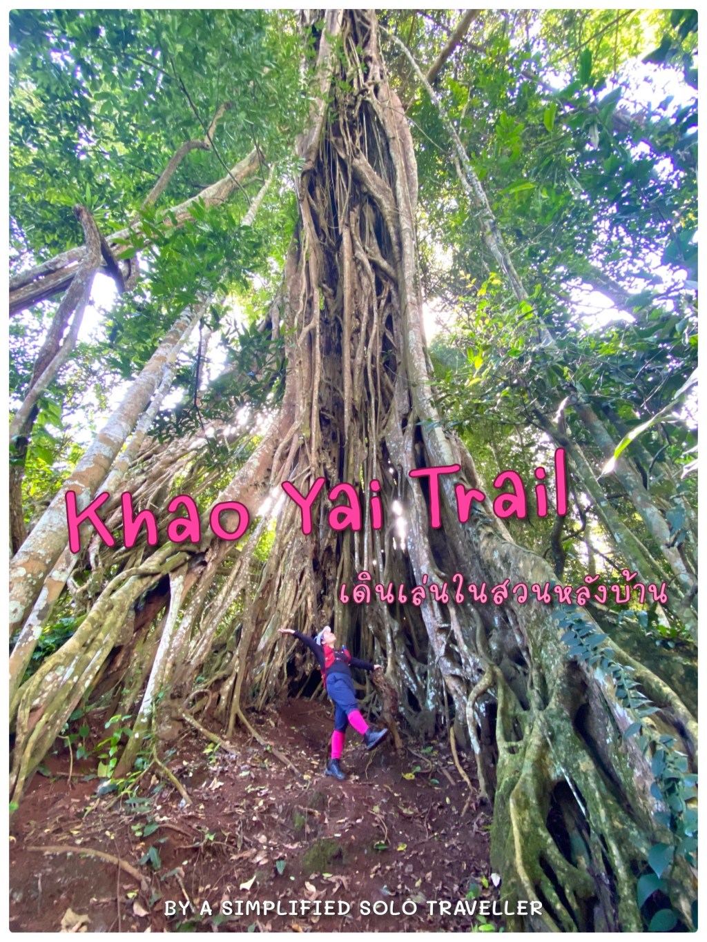 ⛰ เทรลเขาใหญ่ เดินเล่นในสวนหลังบ้านกัน ⛰